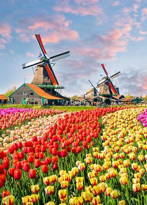 netherlands-2